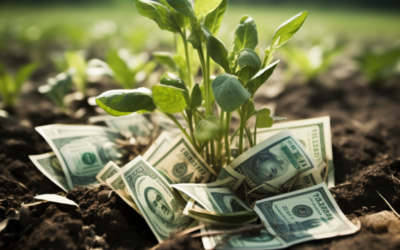 Subvencije Borzen za sončne elektrarne